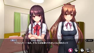 妹快楽堕ち -お兄ちゃんに無理やりハメられてから- #912